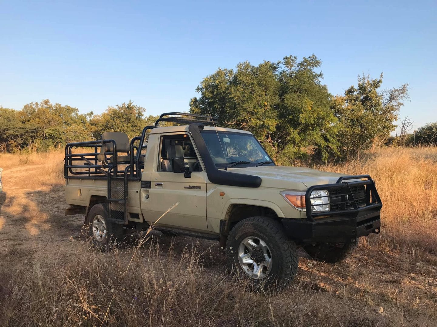 botswana vs kruger safari