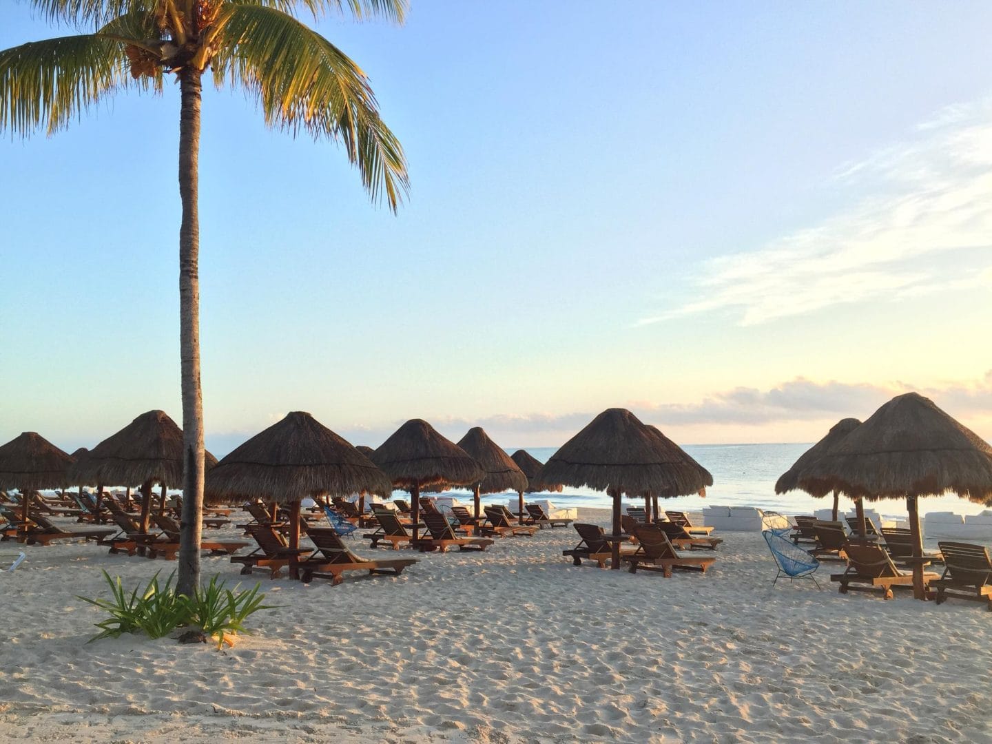 Excellence Riviera Cancun Beach Review