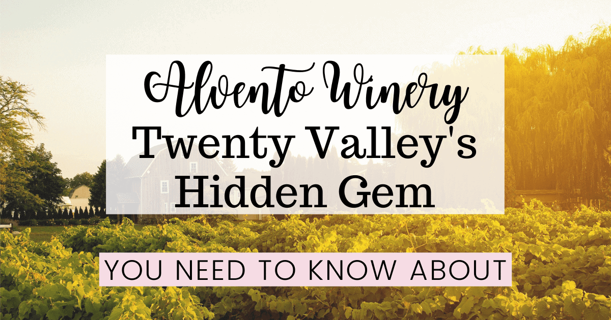 Alvento Winery: Twenty Valley’s Hidden Gem You Need to Know About