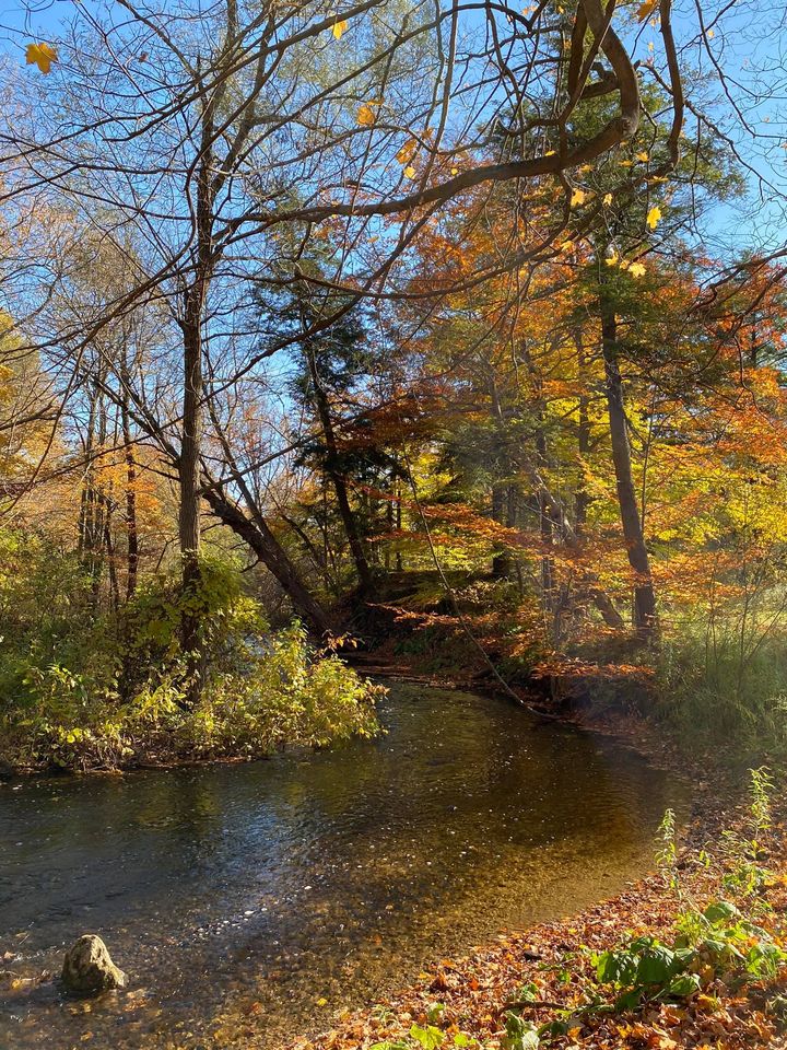 Courtcliffe Park stream