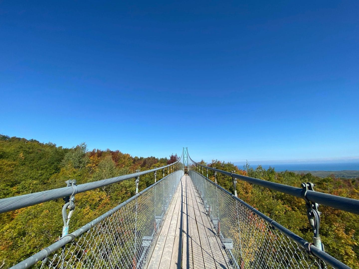 Suspension Bridge