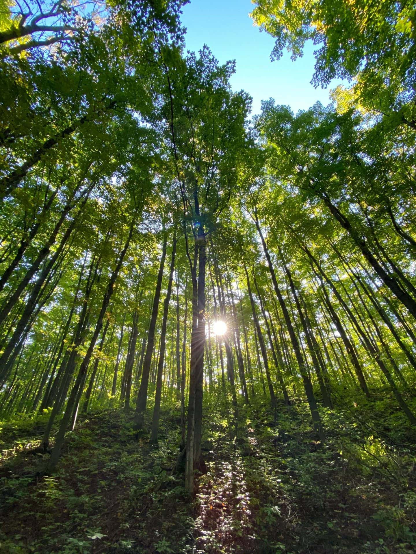 morning light on the trails