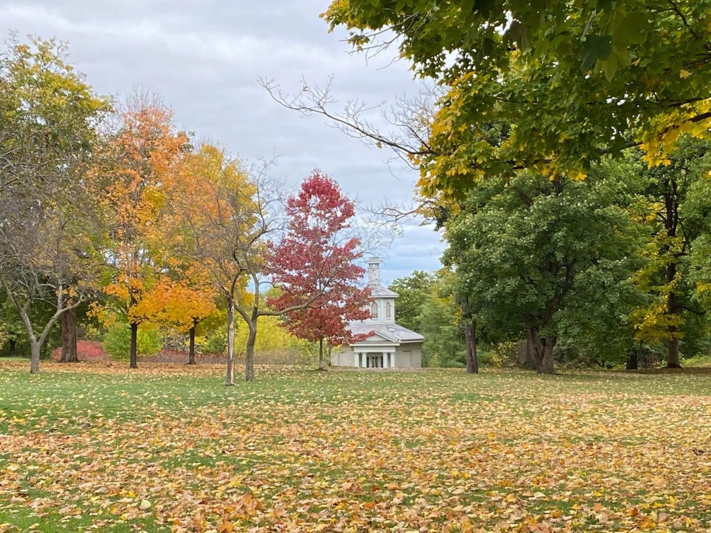 Cockpit surrounded by fall trees