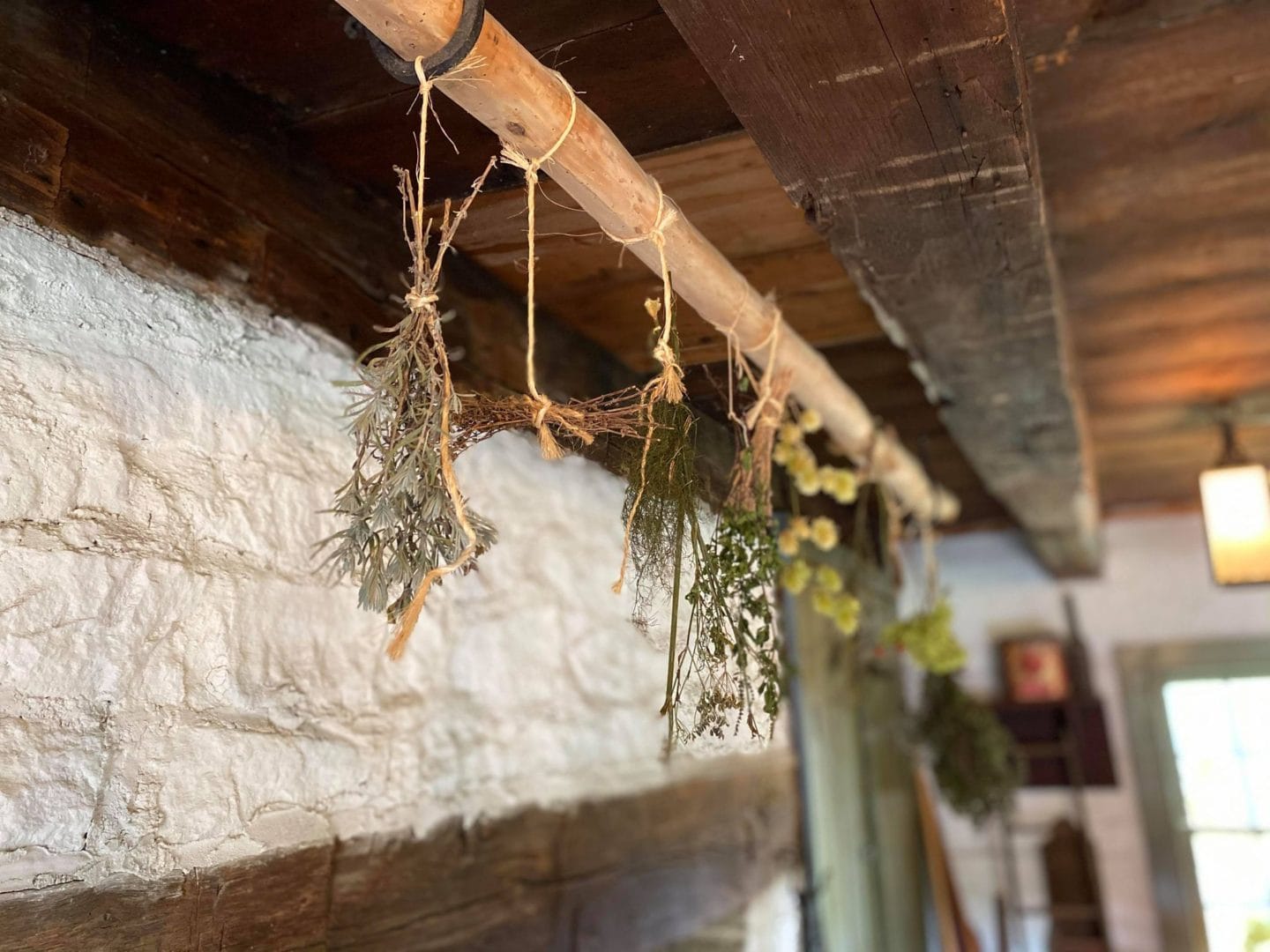 Drying herbs