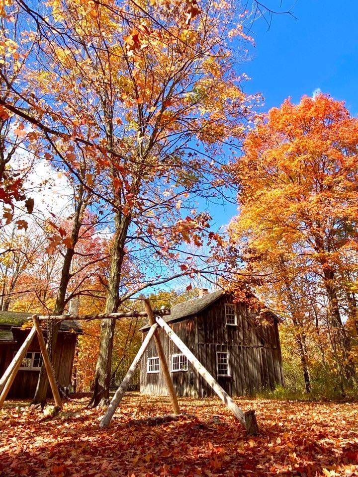 Fall colours at Westfield Heritage Village