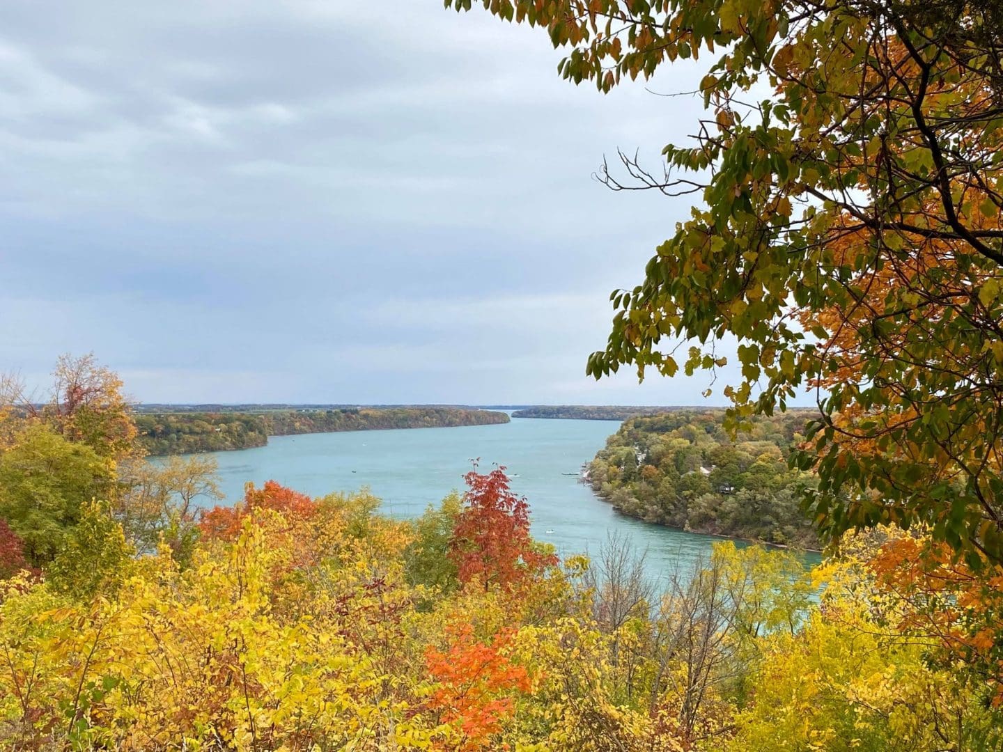 overlooking the Niagara River