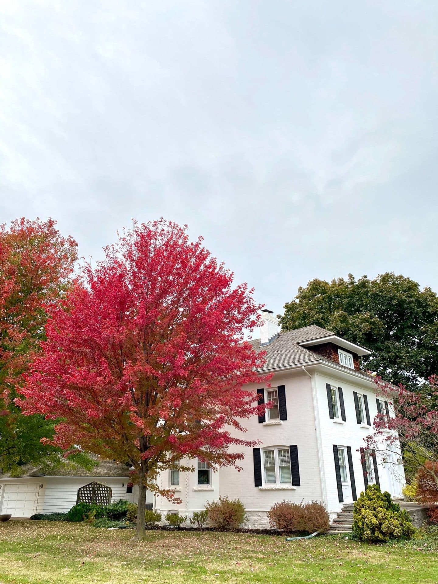 scenic neighbourhood