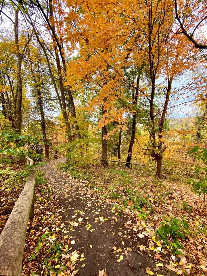 Trail leading up the escarpment