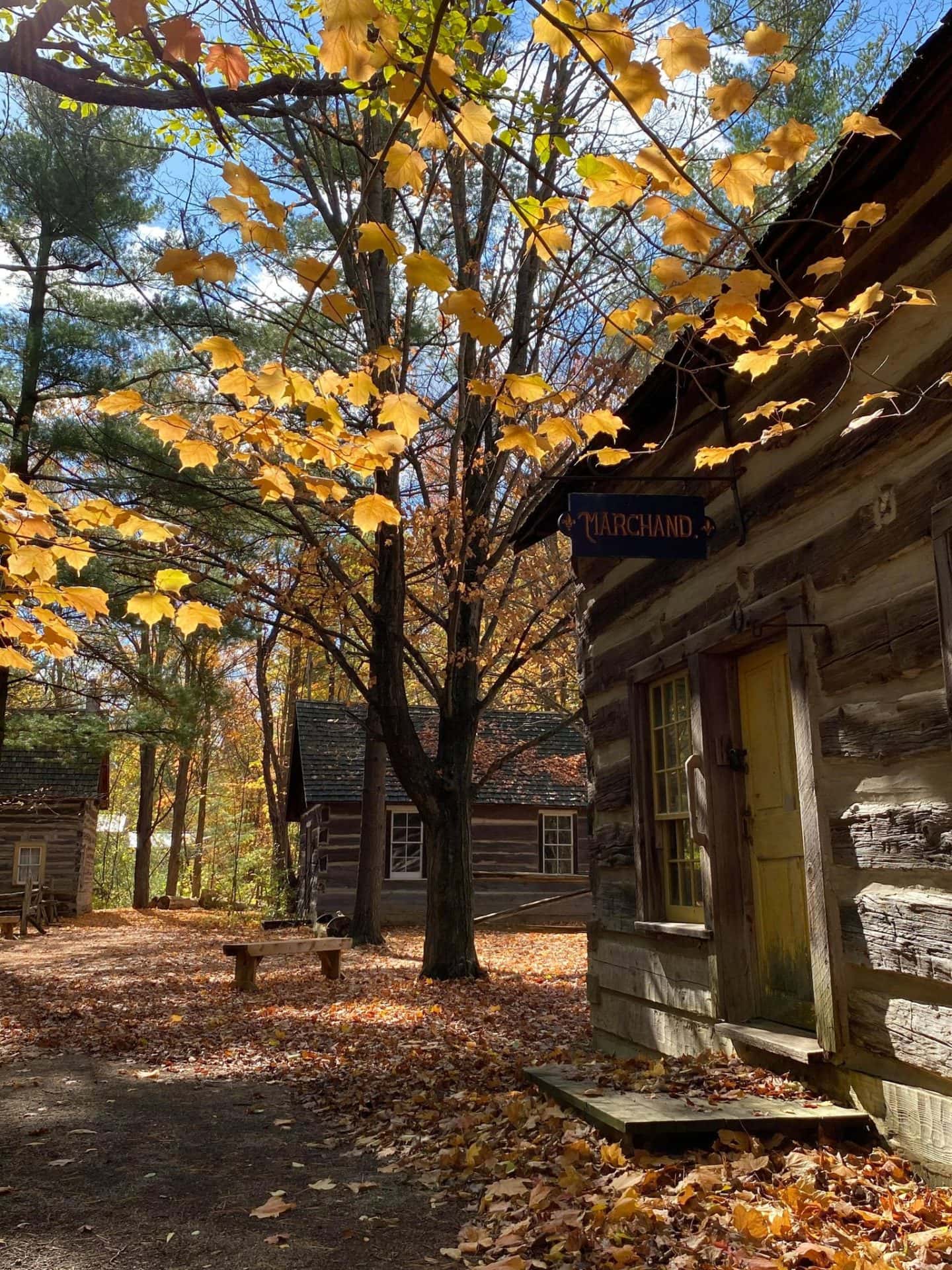 Trading post with fall leaves