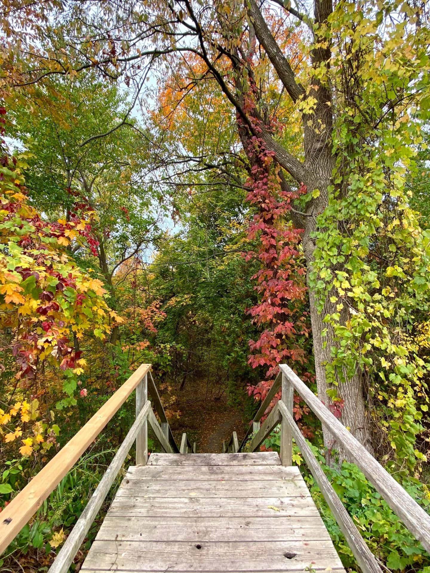 stairs down to Redan battery