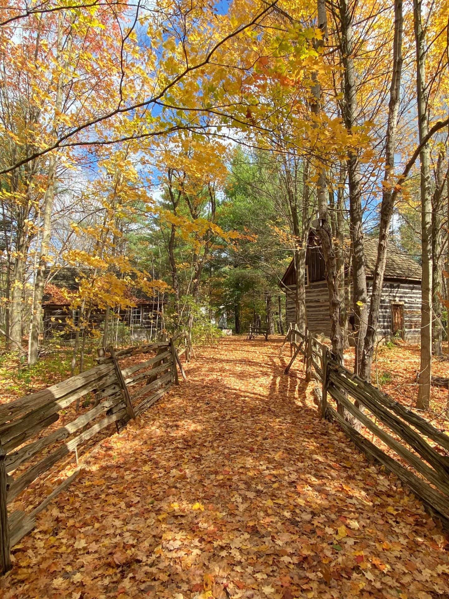 nature trails