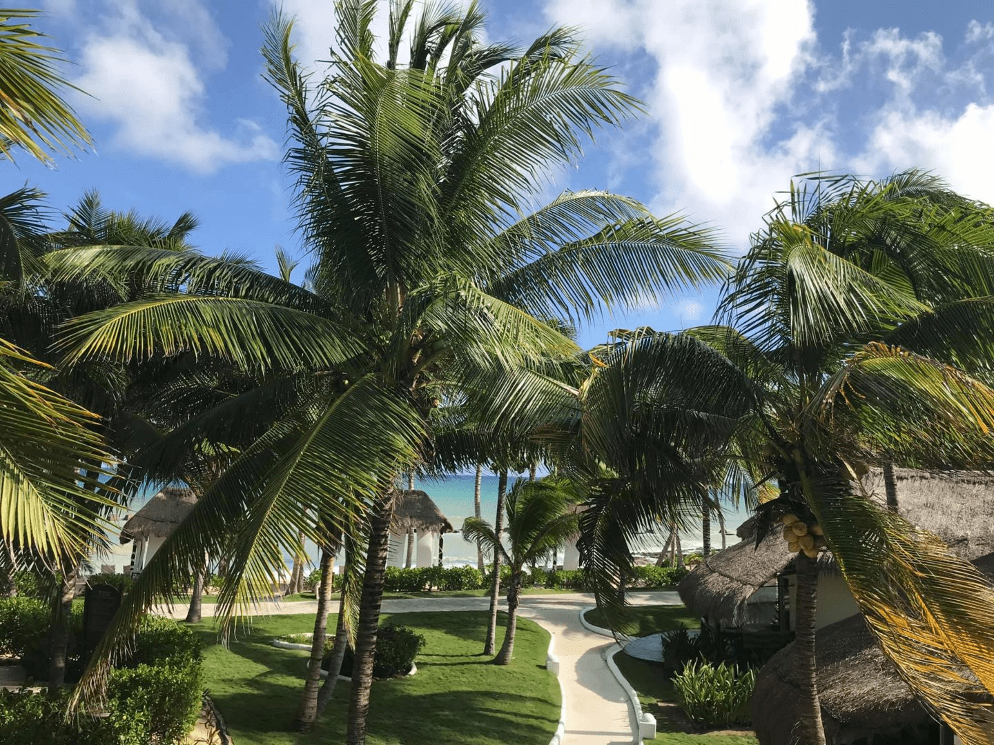 Vue de la chambre El Dorado Casitas