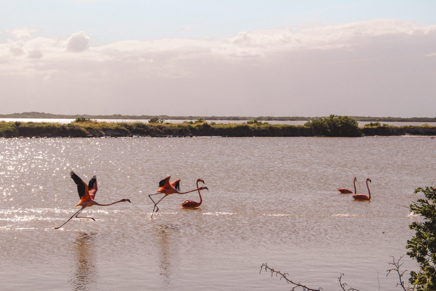 excursions in riviera maya cancun