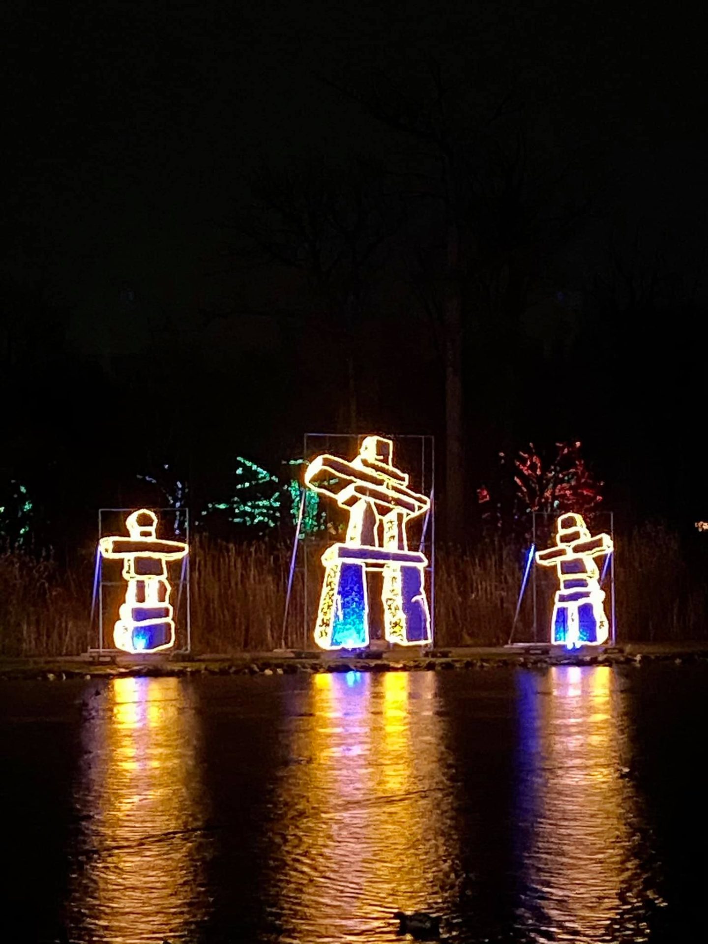 safari niagara winter lights