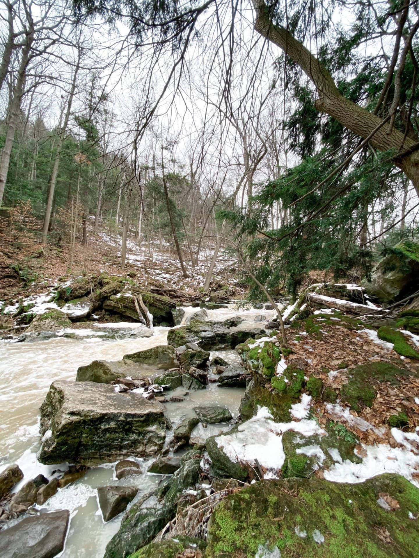 Forty Mile Creek during wintertime