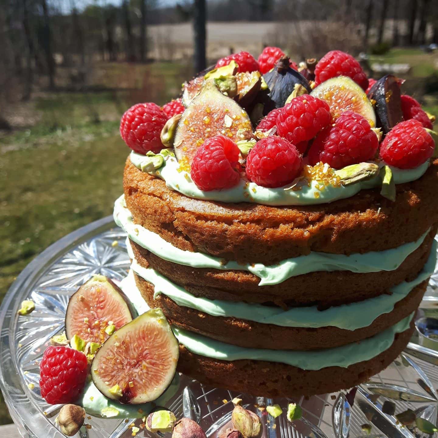 Edible Options layered vegan cake with pistachio cream topped with fruit