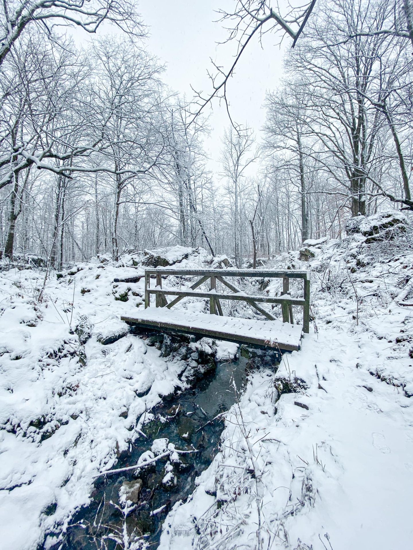 beamsville hiking 