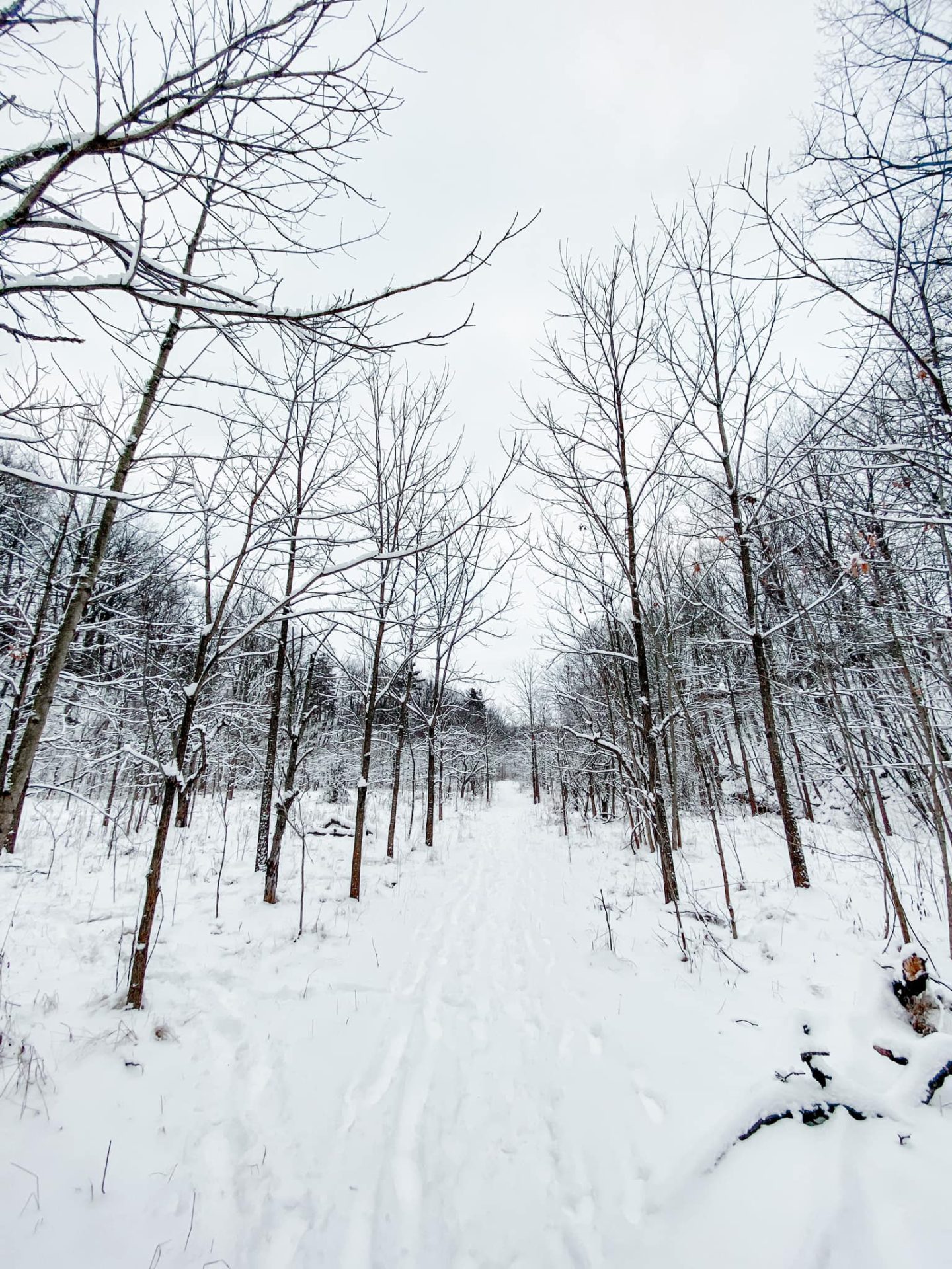 stadelbauer ravine trail 