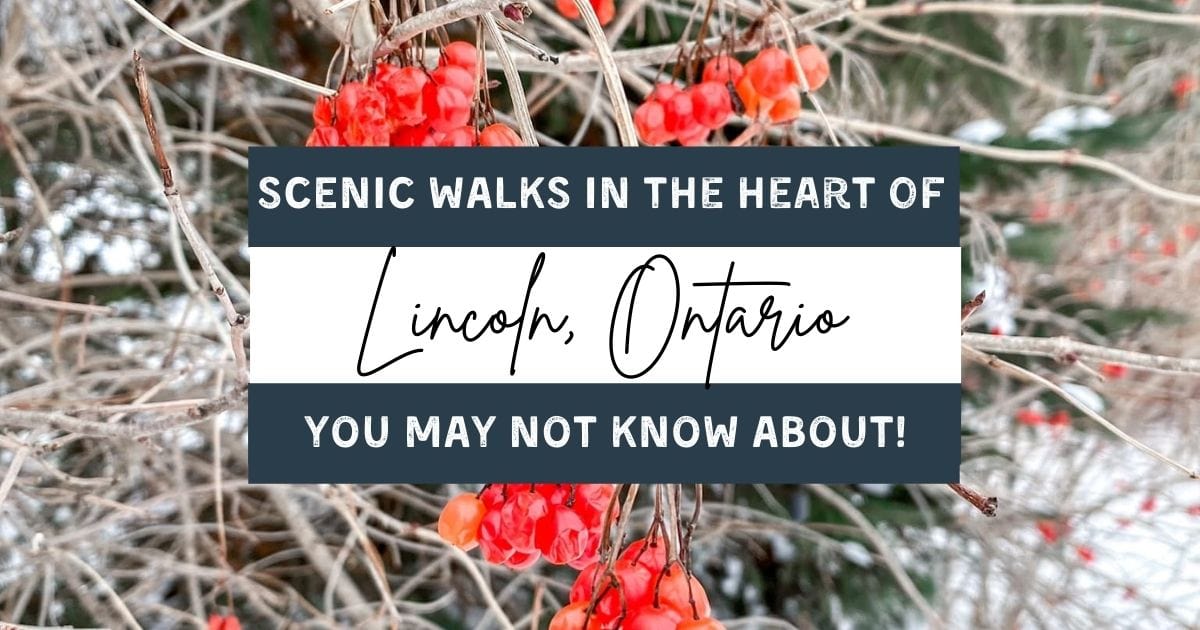 Scenic Walking Trails in the Heart of Lincoln You May Not Know About