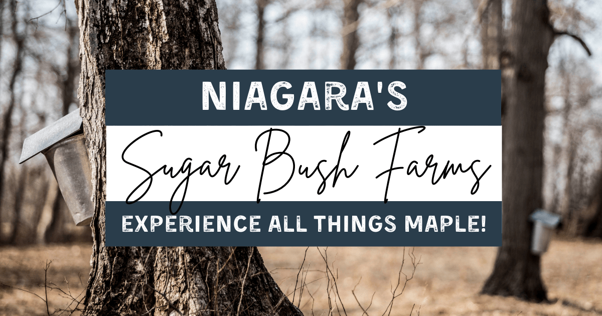 Sugar Bush Farms in the Niagara Region (2023)