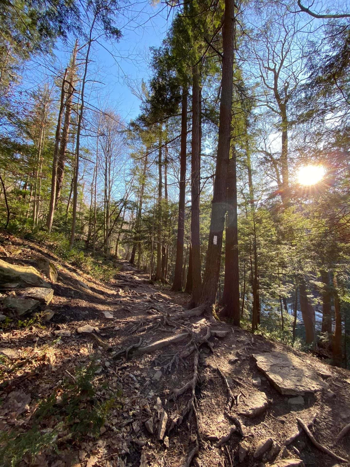 Twenty Valley Trail Vineland