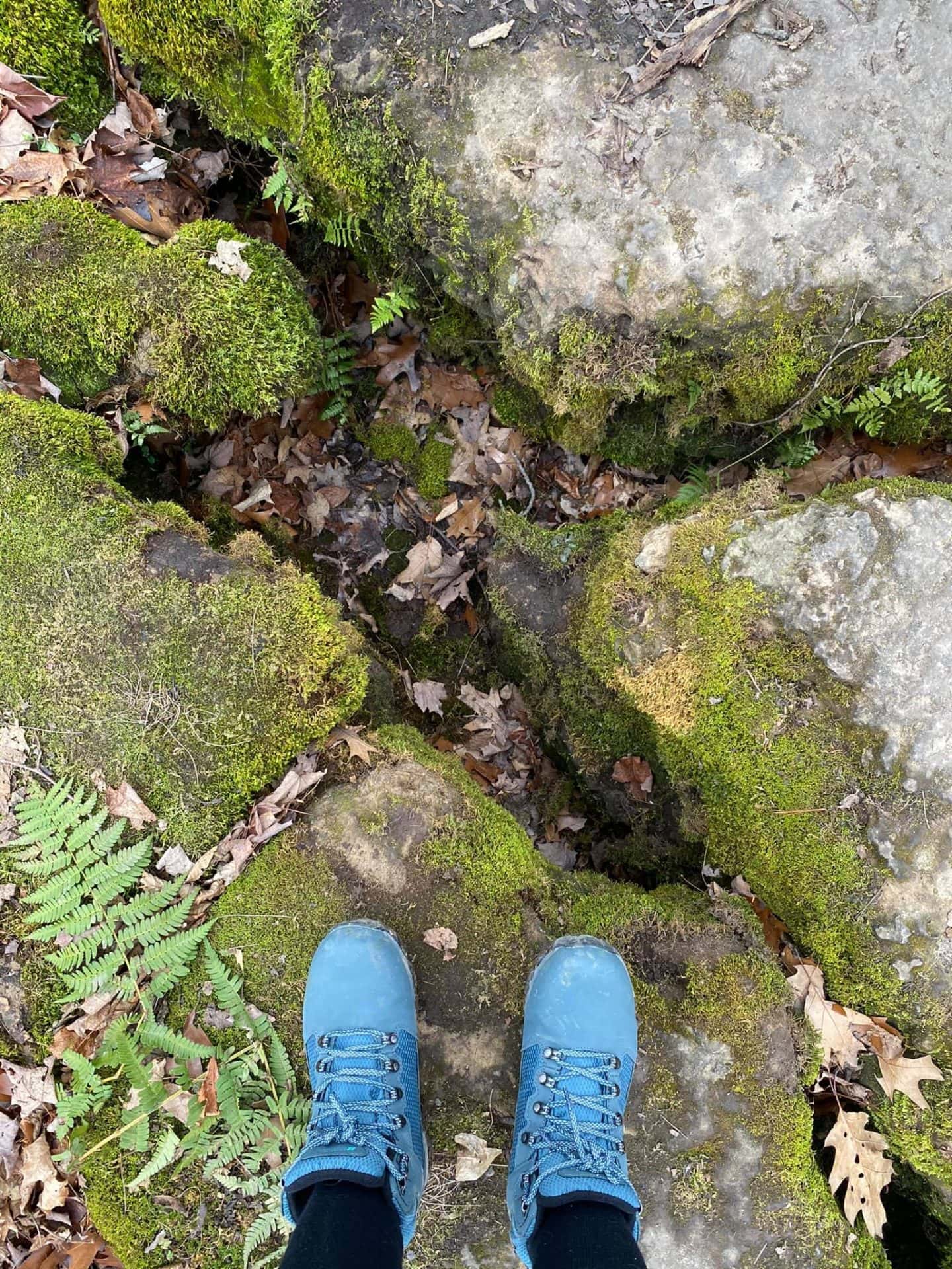 bruce trail niagara hiking