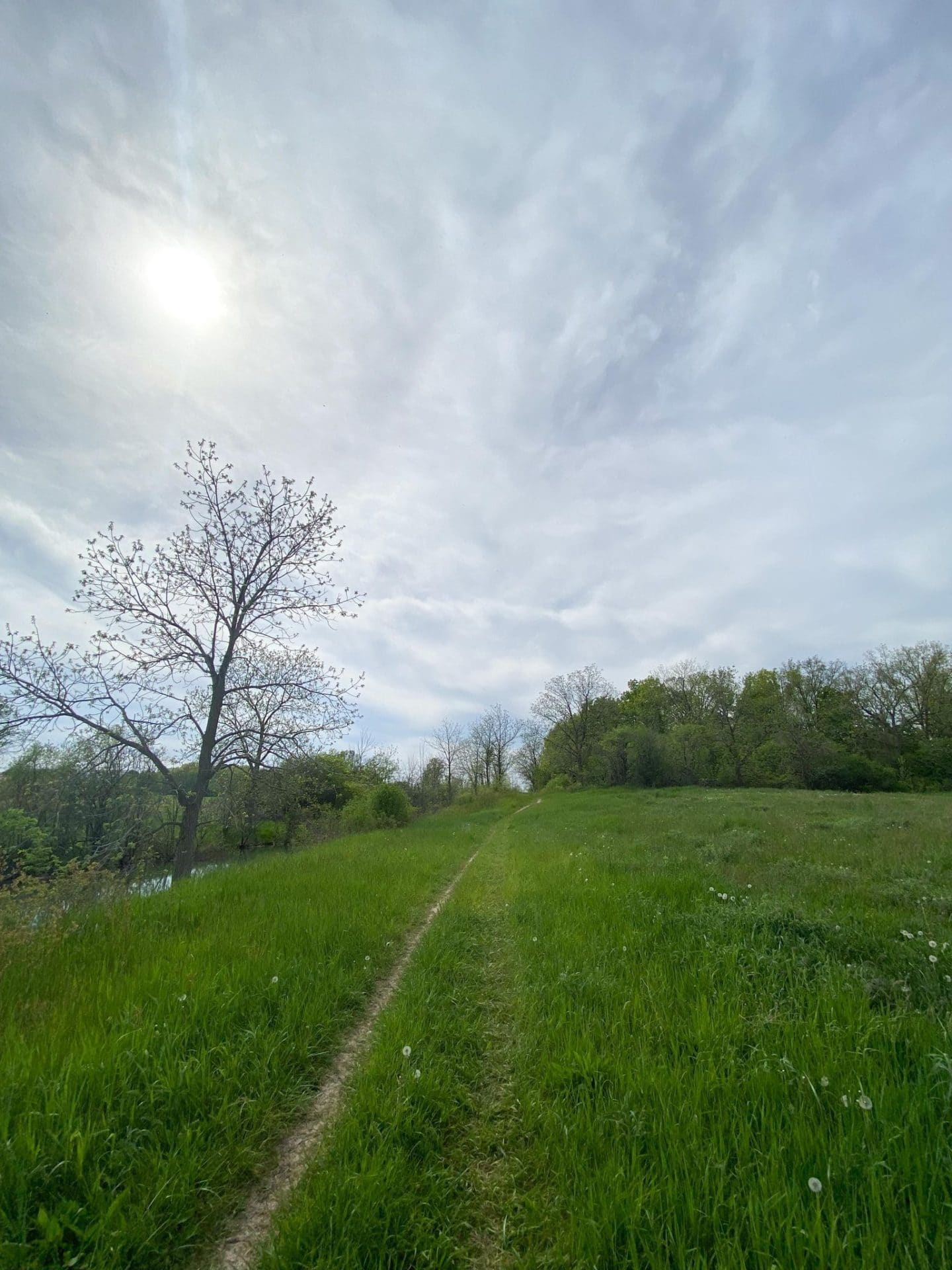 st catharines ticks hiking