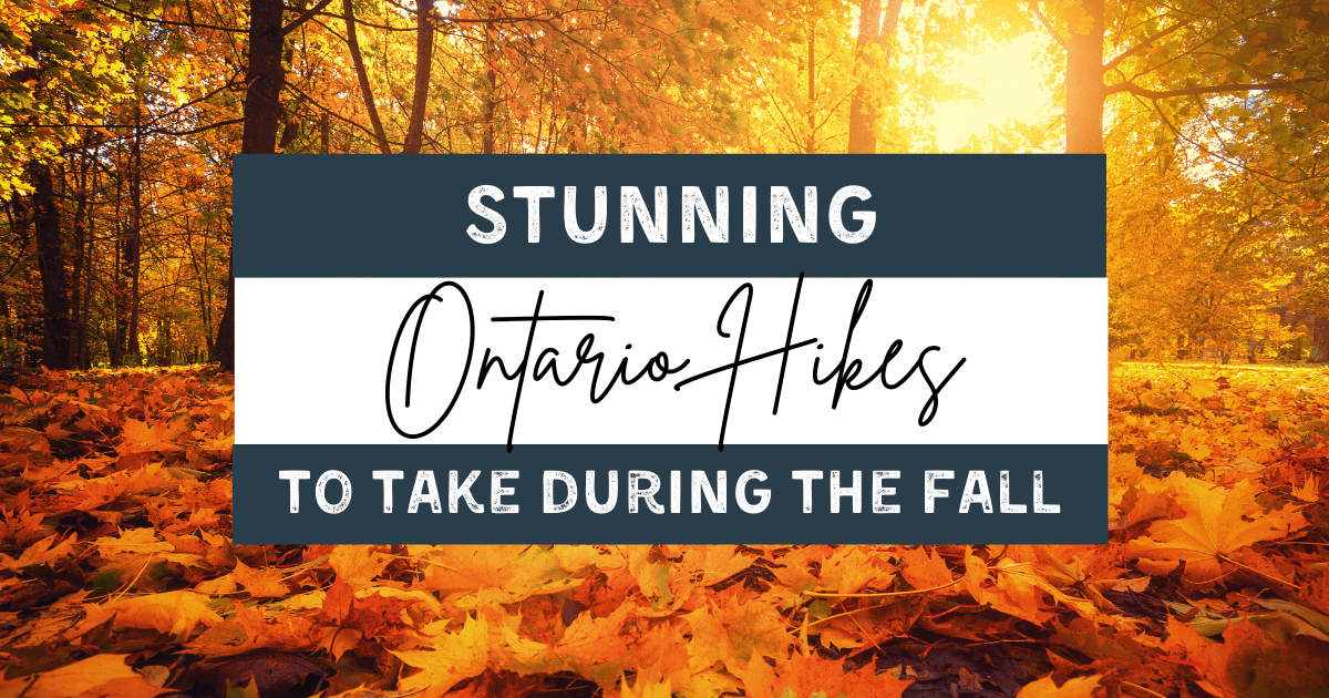 Stunning Ontario Hikes To Take In The Fall