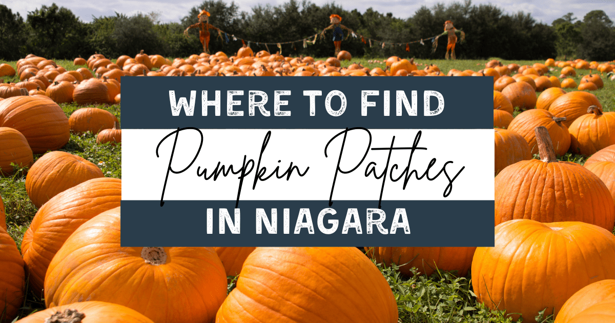 pumpkin patches niagara 2021