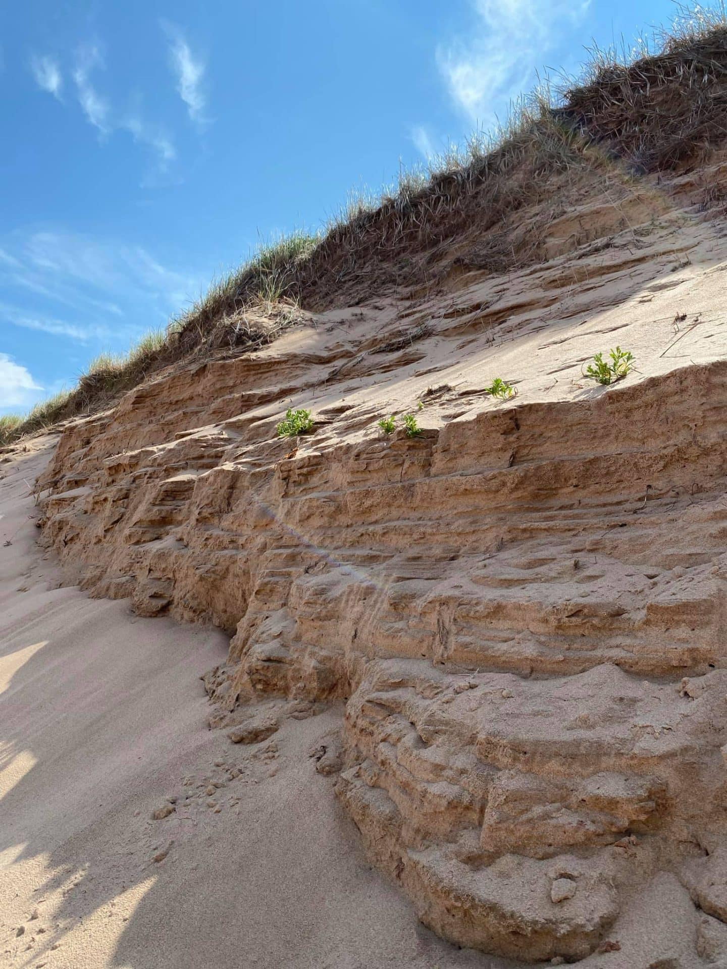 sand dunes greenwich pei