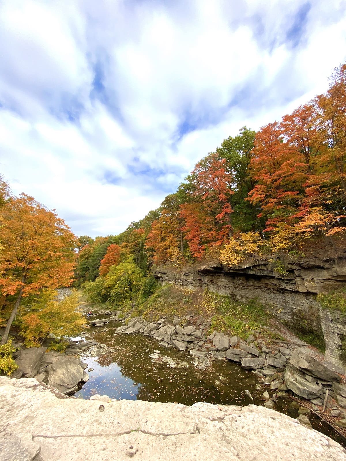 balls falls during fall thanksgiving