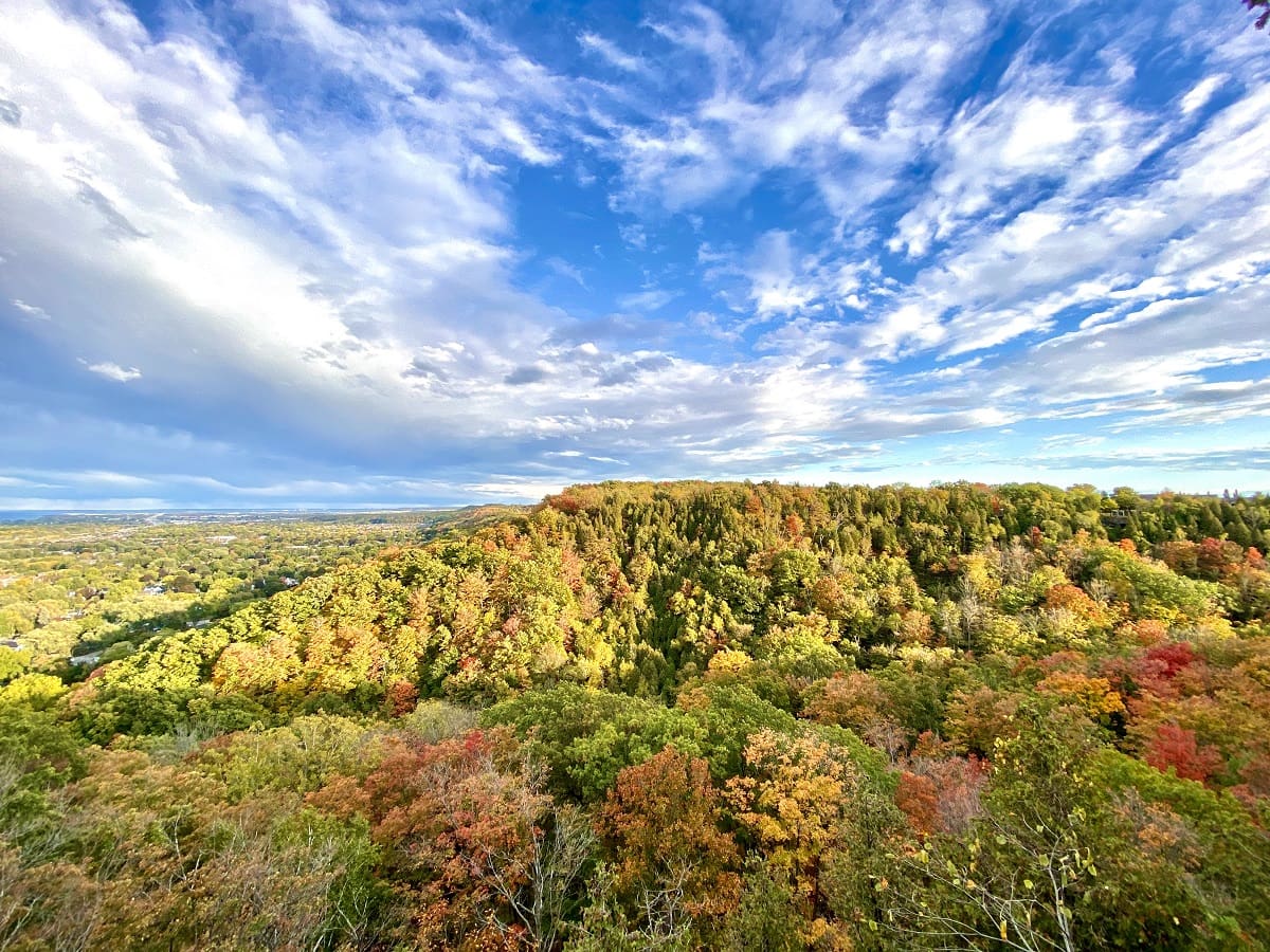 Beamer memorial conservation area fall colours