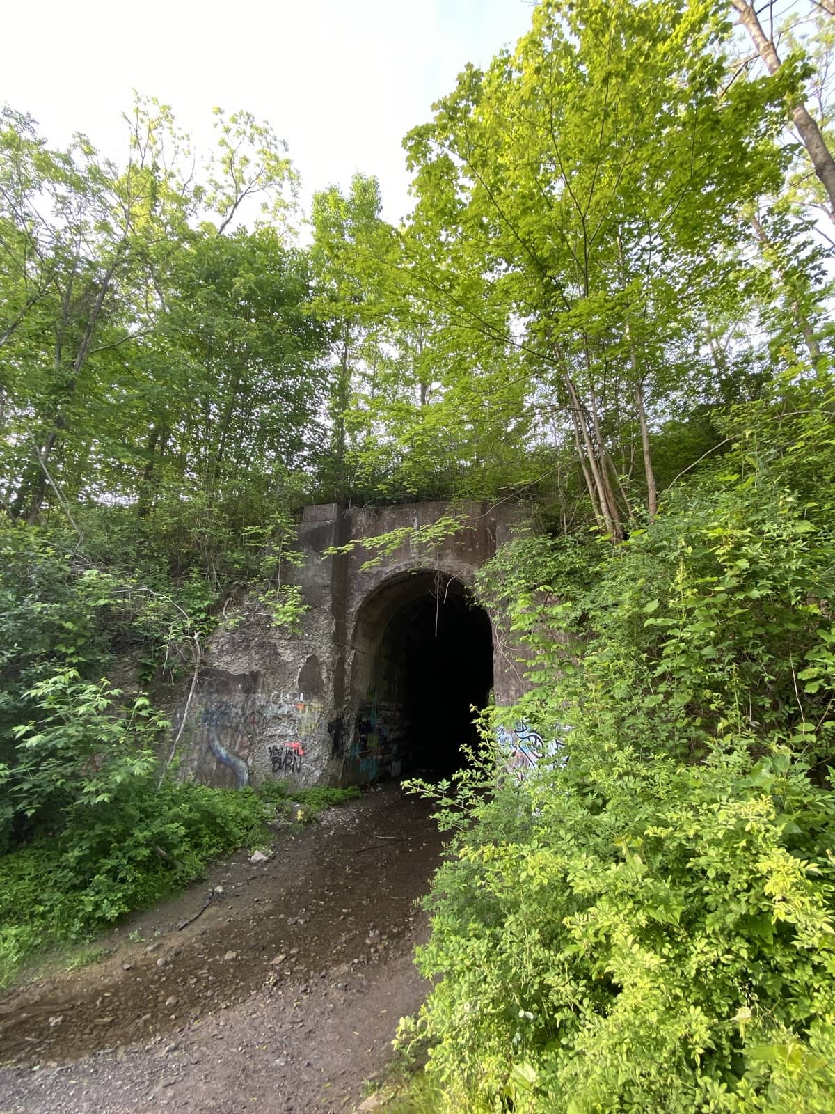 screaming tunnel niagara