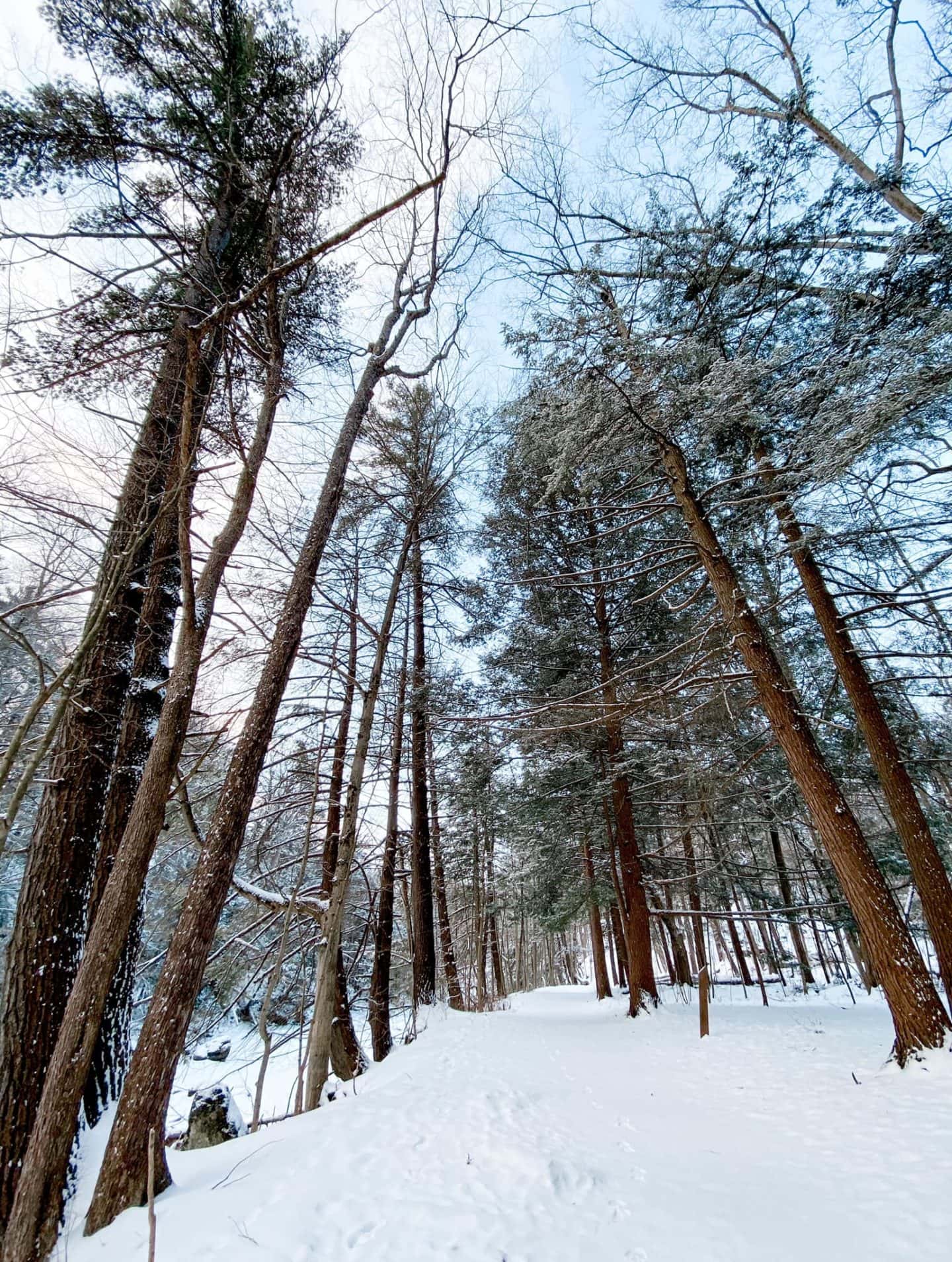 winter hiking gear