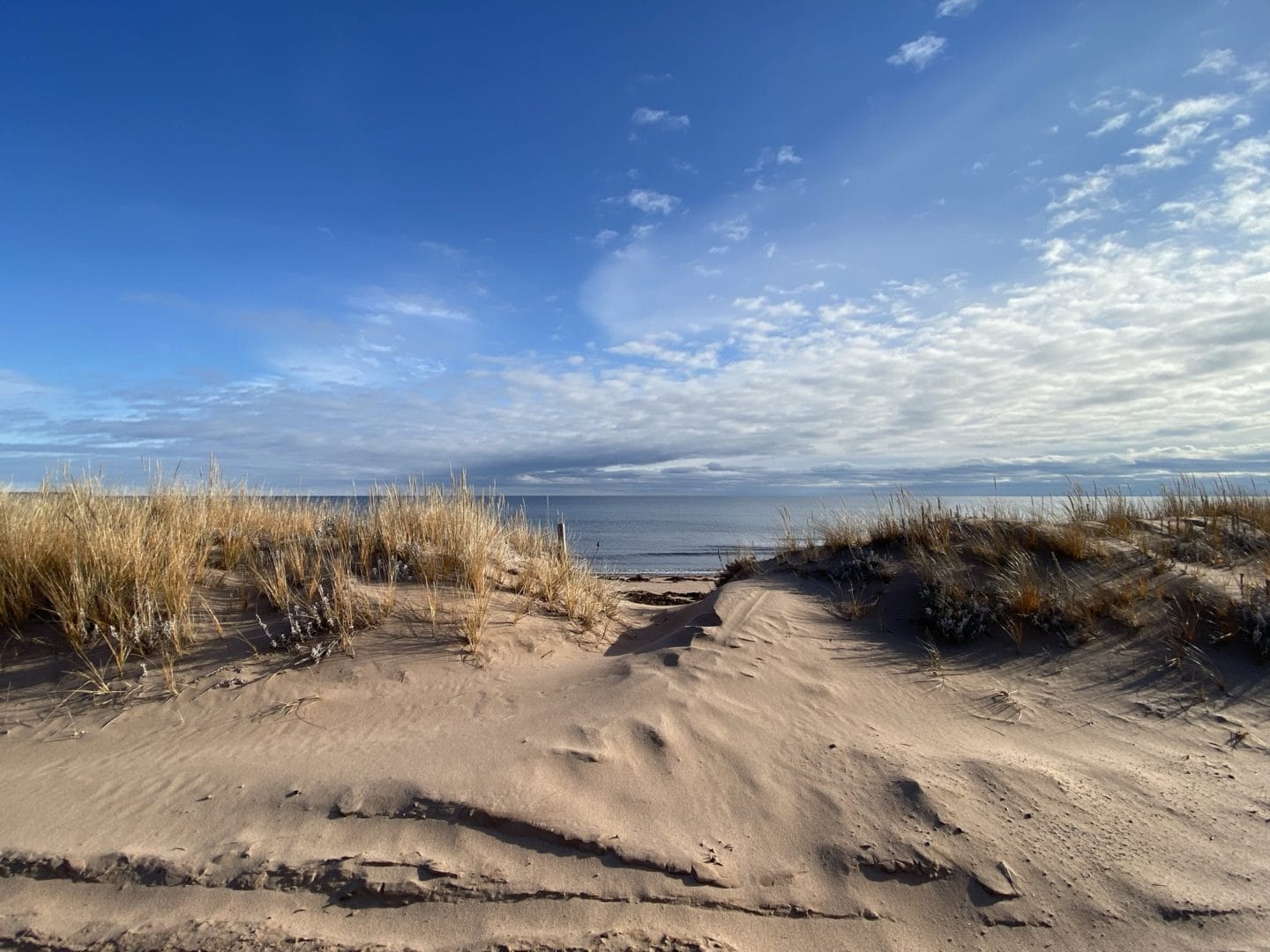 panmure island dunes