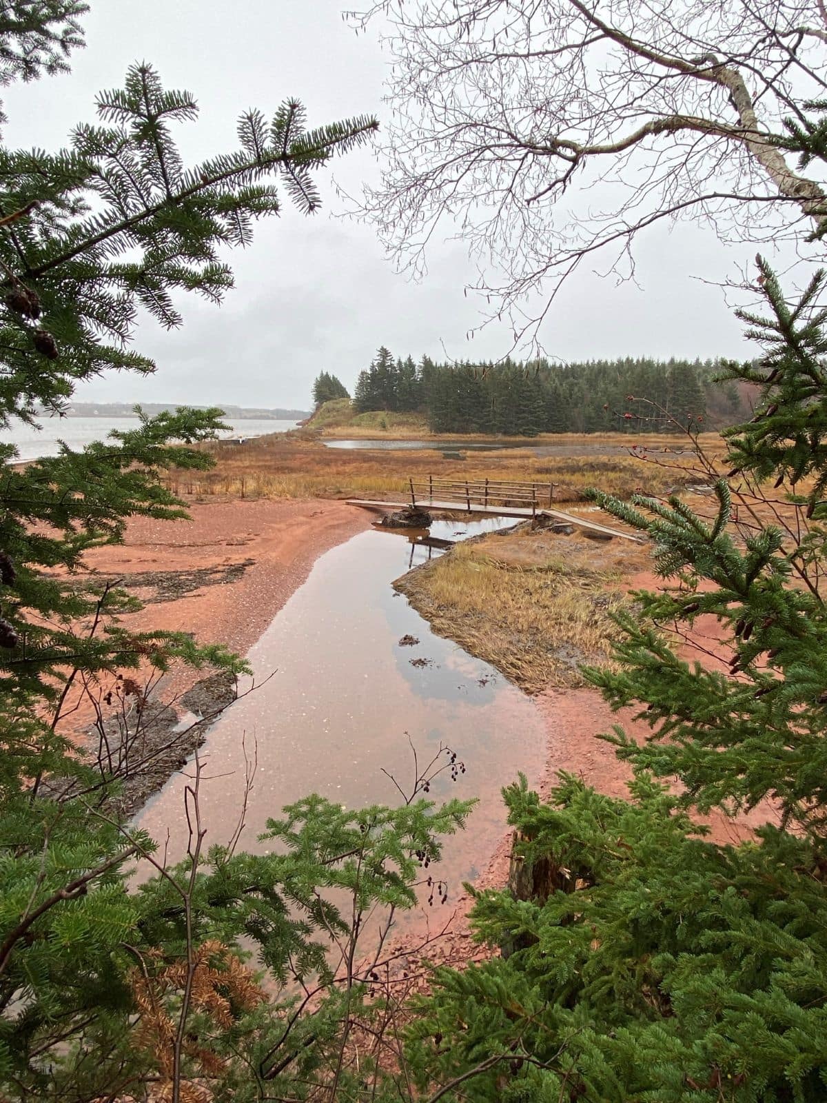 fort amherst trails PEI