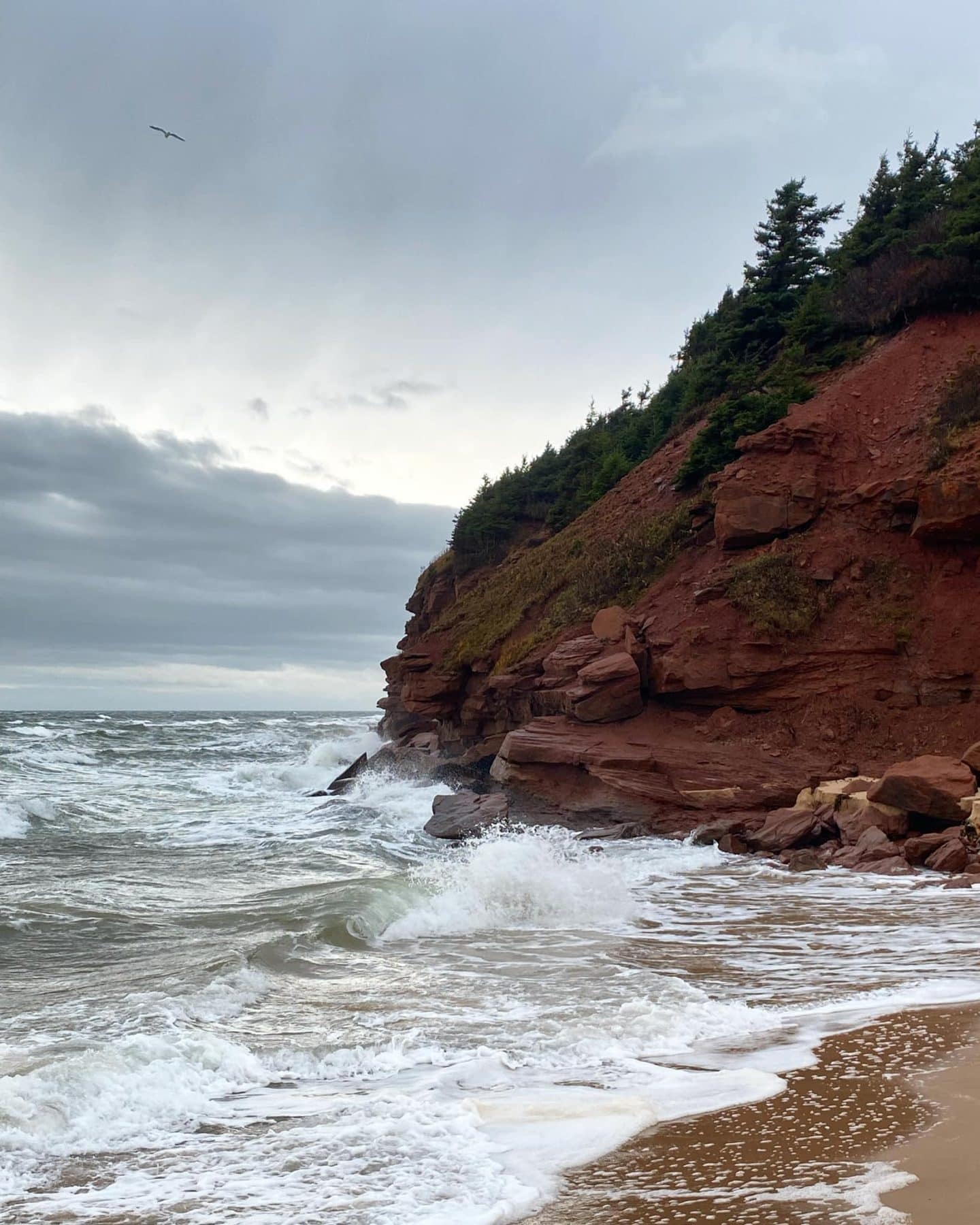 basin head provincial park singing sands beach