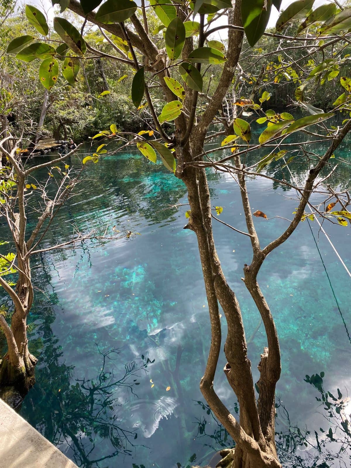 cenotes close to tulum