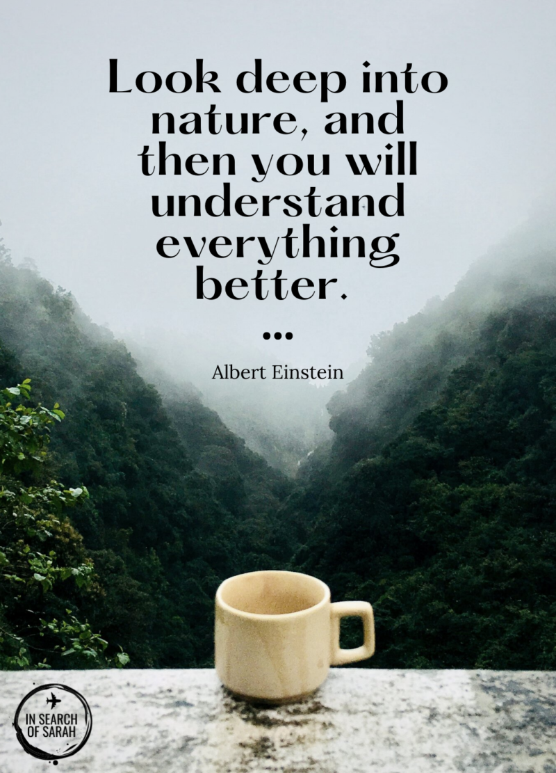 250+ BEST Nature Captions and Quotes for Instagram