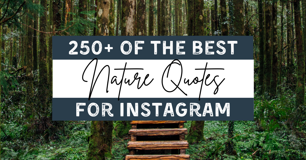 250+ BEST Nature Captions and Quotes for Instagram (2023!) | In Search of  Sarah