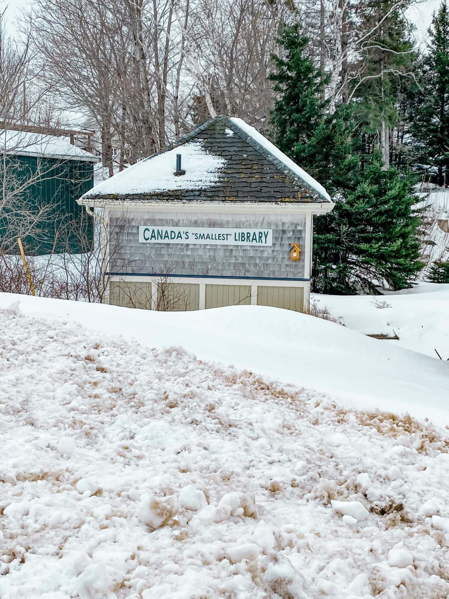 Canada Cardigan smallest library