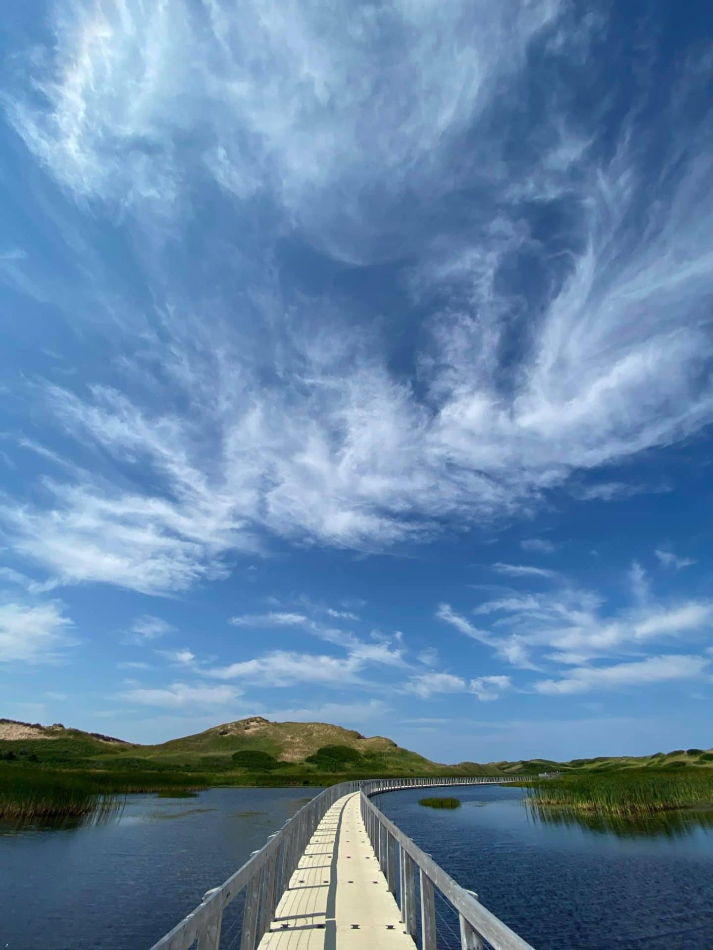 greenich national park floating boardwalk