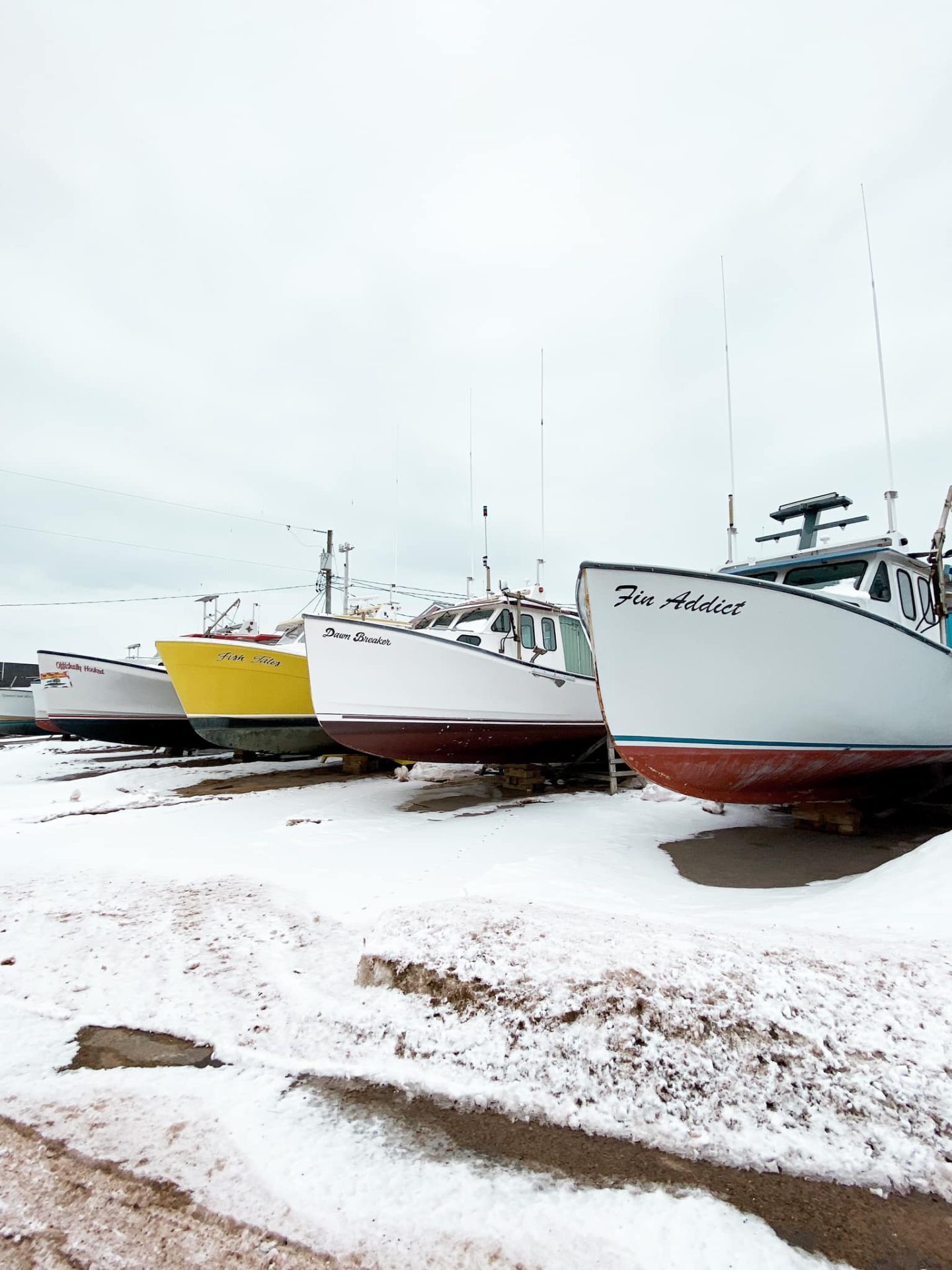 north rustico harbour PEI