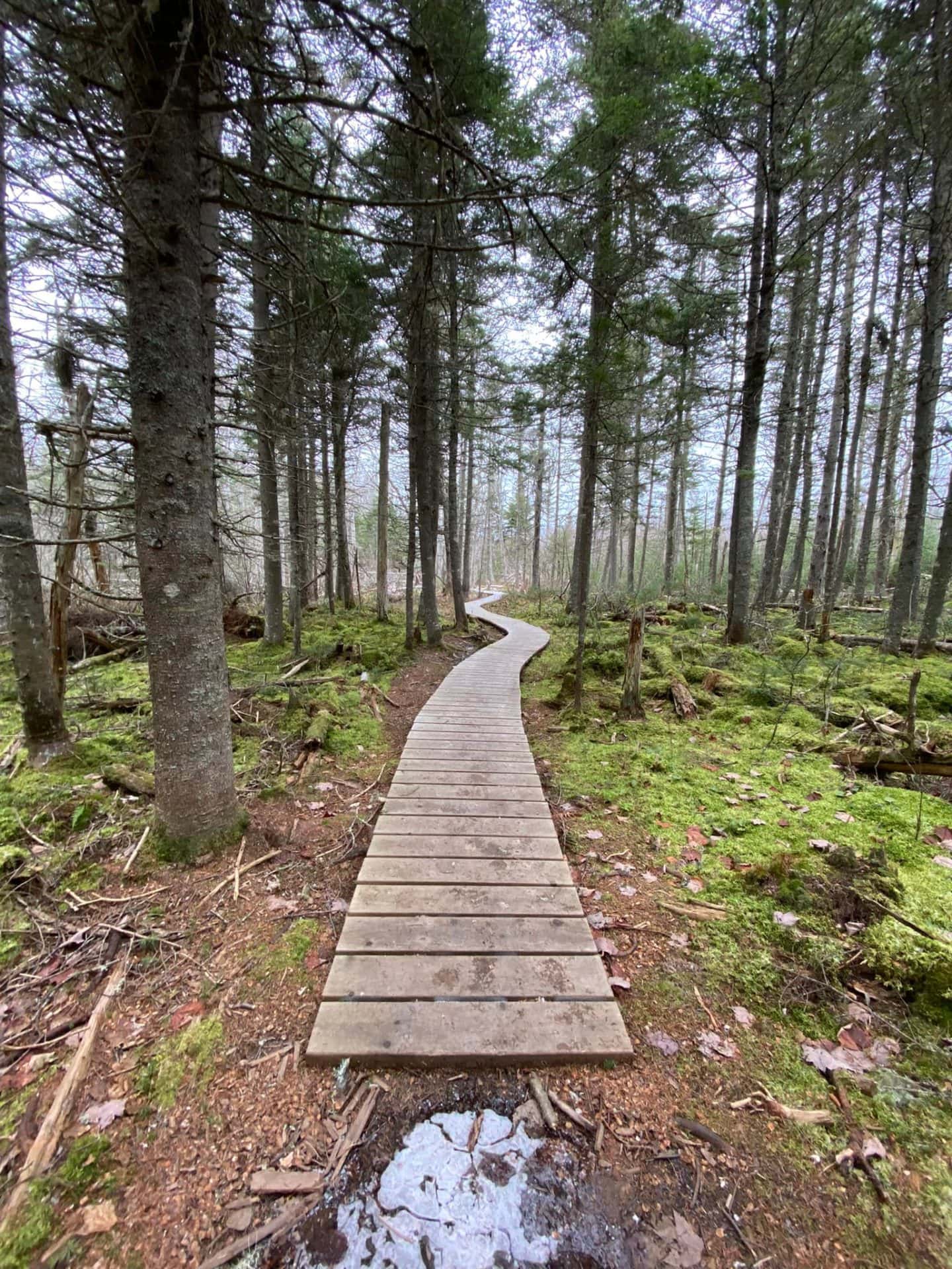 winter river trail prince edward island 