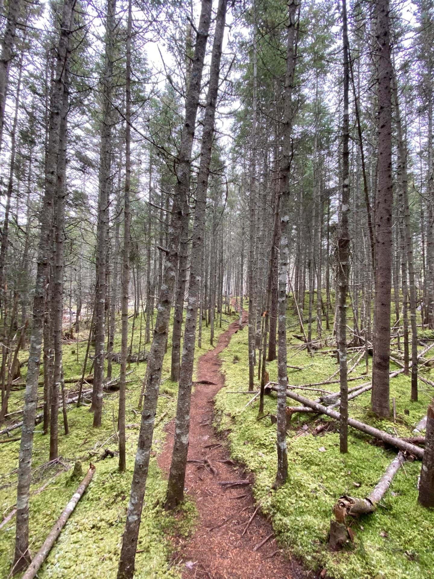 hiking trails prince edward island