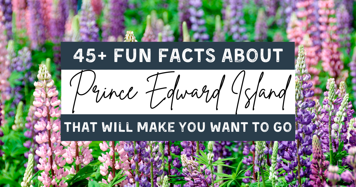 45+ Interesting Facts about Prince Edward Island