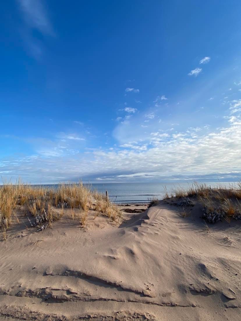 panmure island beach