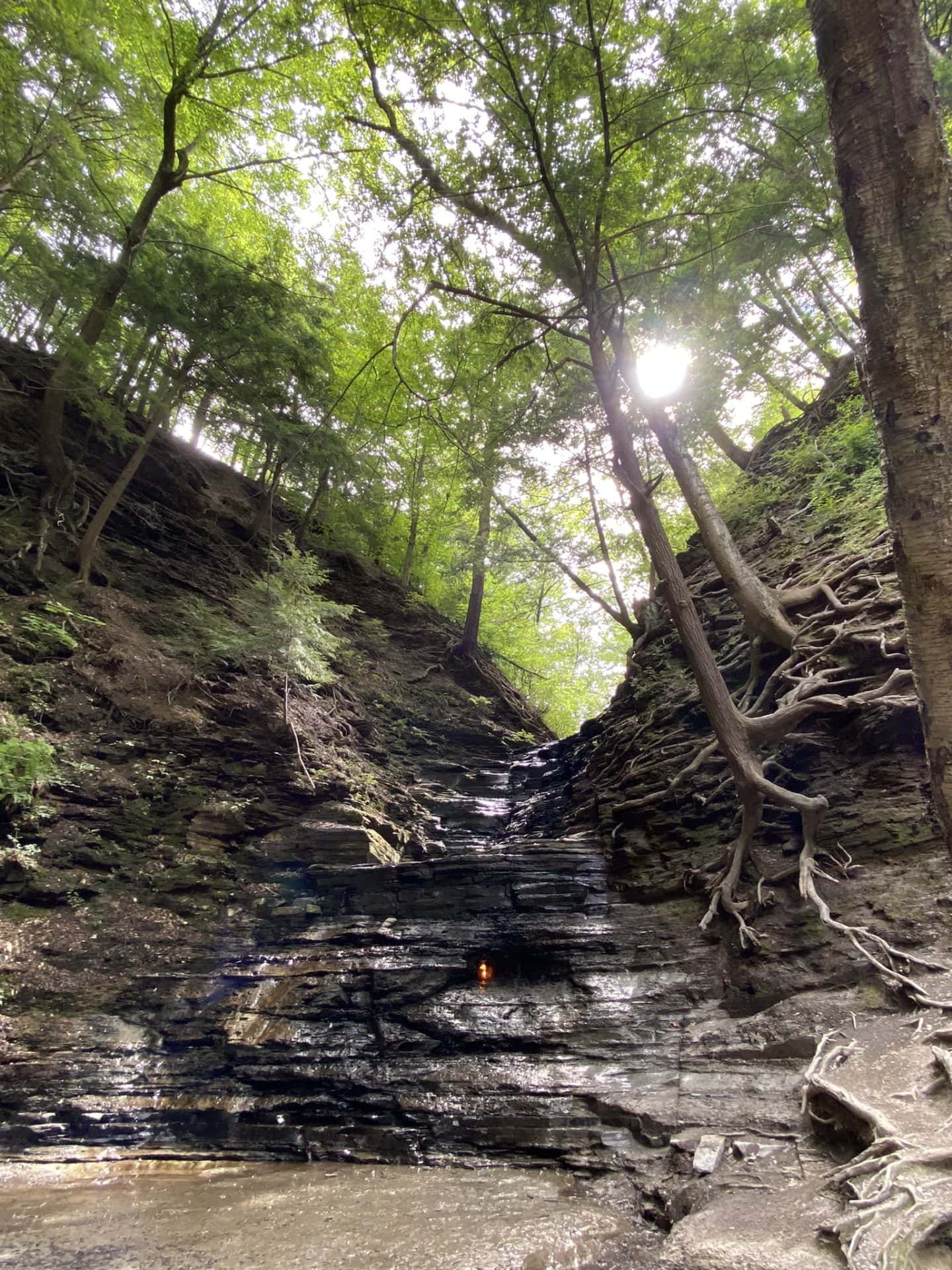 eternal flame falls