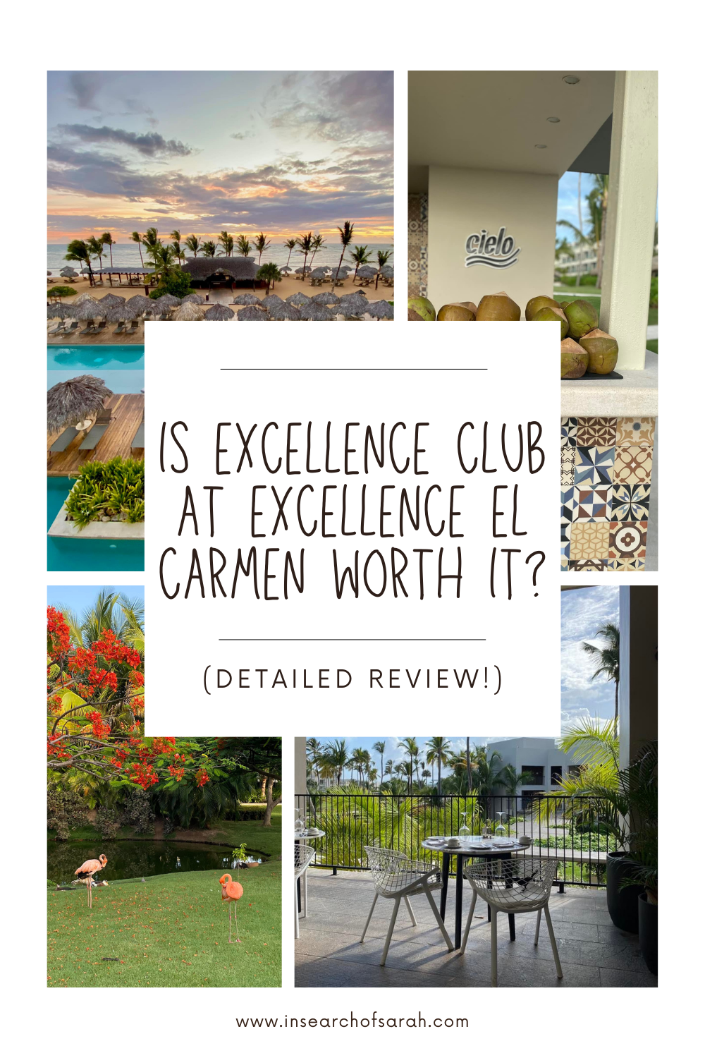 excellence club el carmen