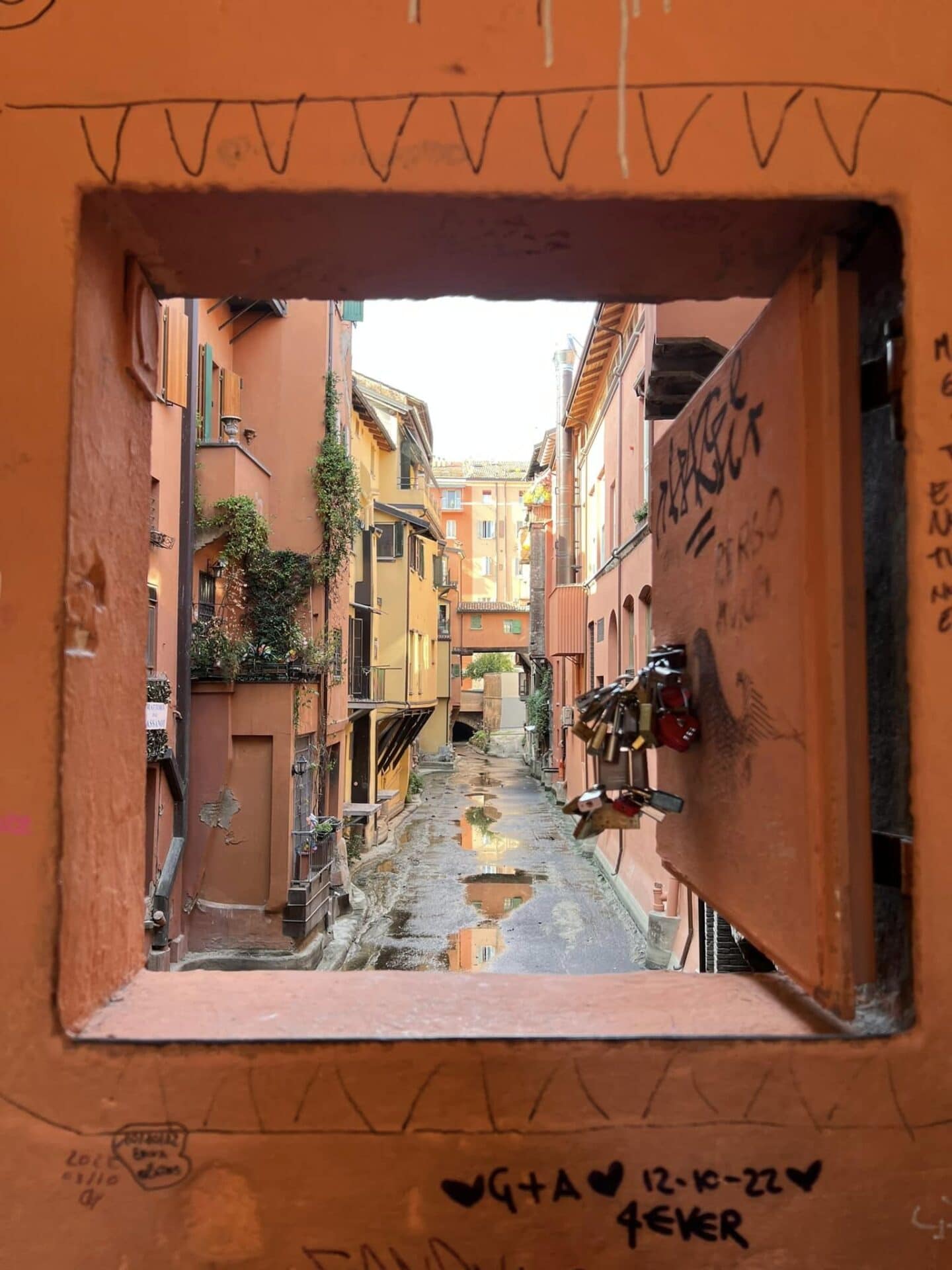 finestrella bologna